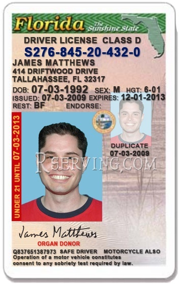 check drivers license in fl